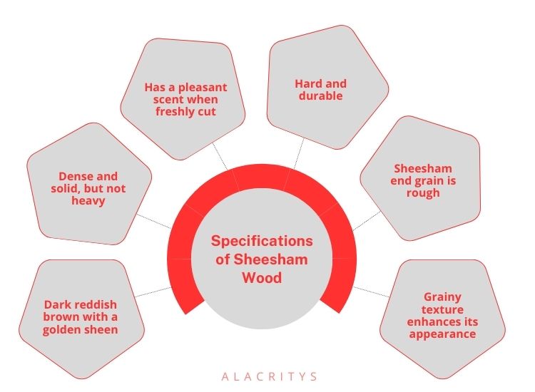 Infographics - Specifications of sheesham wood