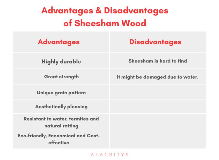 Infographics - Sheesham wood advantages and disadvantages