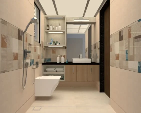 Common Toilet Design