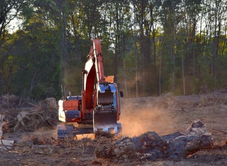 Site Clearance Step by step House construction in India Alacritys