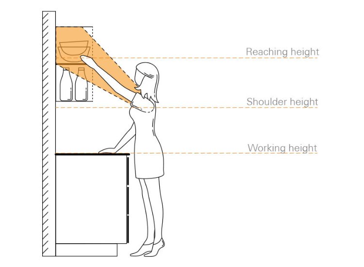 Illustration showing a person of average height reaching a kitchen countertop and cabinet.