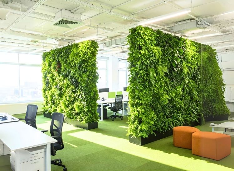 3.5 Green Plant Partition