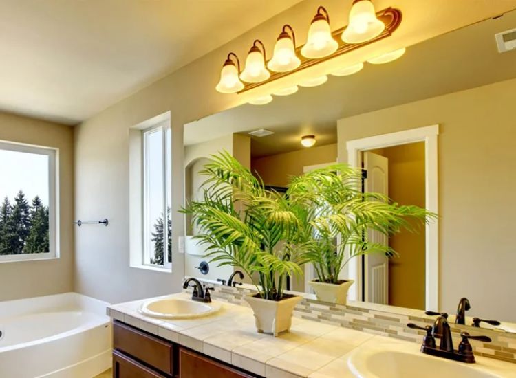 33. Warm Light Halogen Bulbs