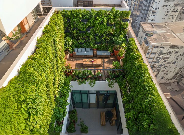 Penthouse design for nature lovers, featuring indoor plants, natural wood finishes, large windows for scenic views, and eco-friendly materials that bring the outdoors inside.