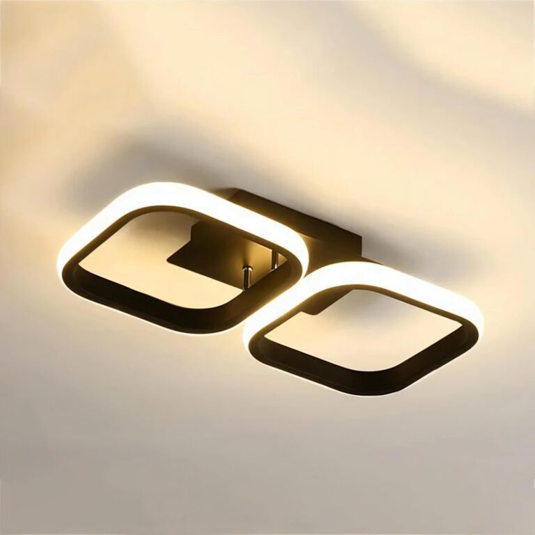 AASHRO MALL Modern Dimmable LED Ceiling Light, Modern Flush Mount Fixture with Adjustable Light