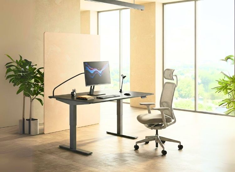 8. Ergonomics Office
