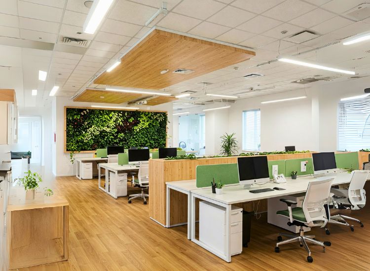 Green office interior design promoting sustainability and efficiency, incorporating eco-friendly elements into small office interior design with mindful interior design in office.