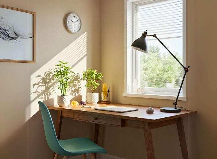 A home office with indoor plants, crystals, and thoughtfully placed accessories, enhancing positive energy, harmony, and productivity according to Vastu principles.