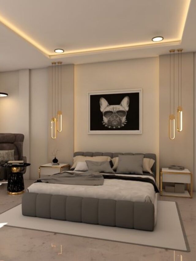 Lighting Zones False Ceiling Light