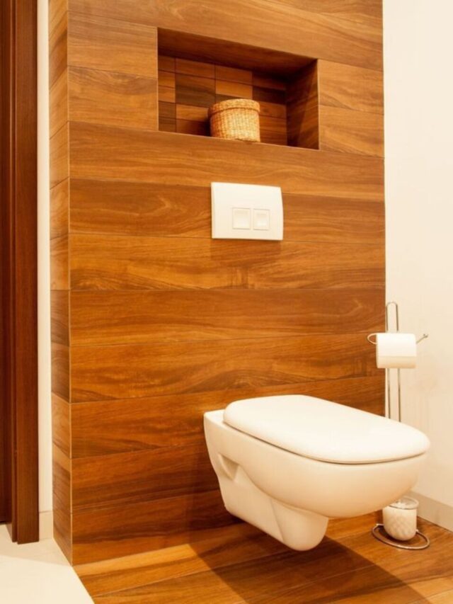 Panel Toilet Door