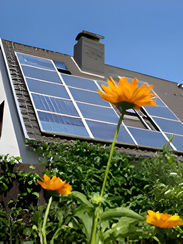 Electricity Solar Energy with Climate Resilience