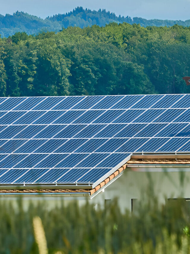 Solar Energy Habitat Preservation