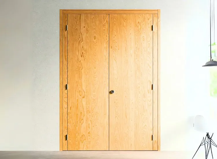 Versatile plywood door design offering an affordable and stylish option for various house door types and designs.