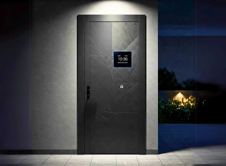 5. Custom And Smart Door