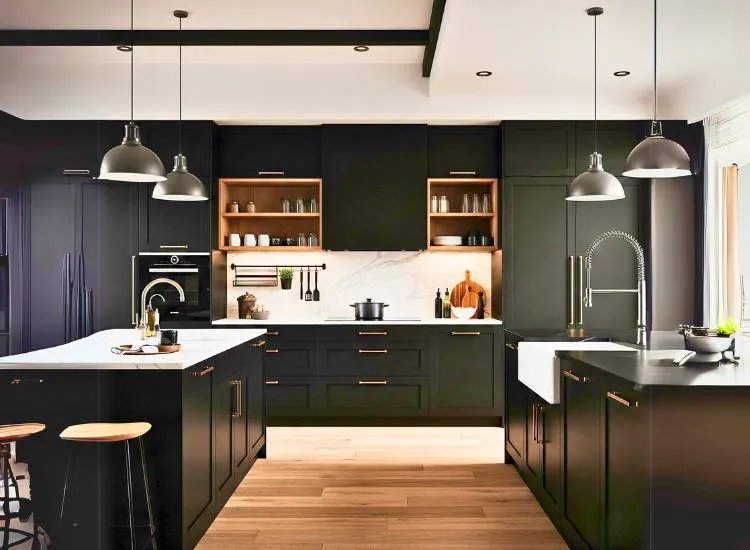 Matte black modular kitchen cabinets define bold kitchen and cabinet style with sleek cupboard designs.