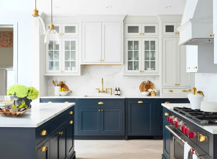 Two-tone modular kitchen cabinets create bold kitchen and cabinet contrast with striking cupboard designs.