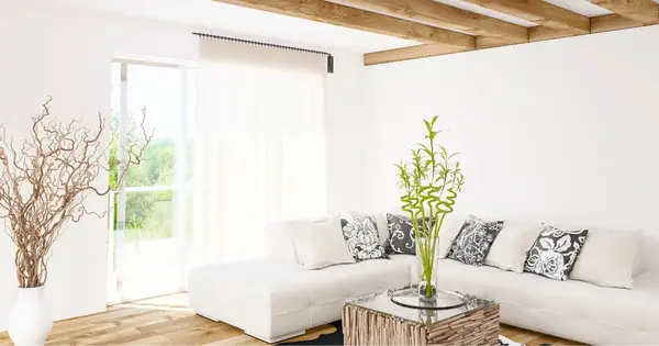 Budget-Friendly Interior Design service